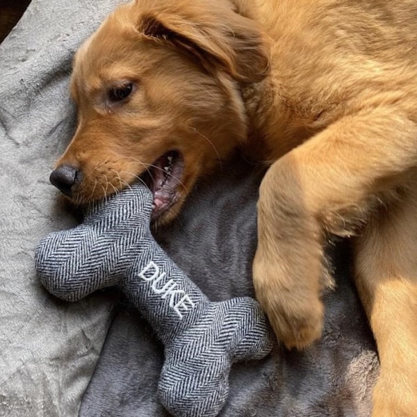 Hueso de perro personalizado: juguete chirriante de mezcla de lana bordada