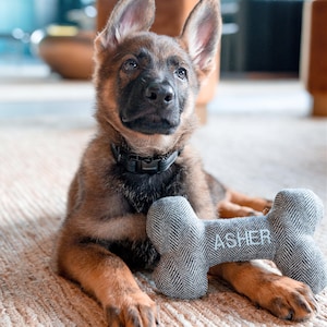 Gepersonaliseerde hondenbottenspeeltje: piepend speelgoed van geborduurde wolmix