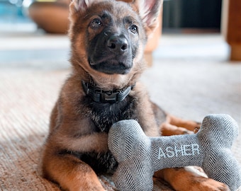 Personalized Dog Bone Toy: Embroidered Wool Blend Squeaky Toy