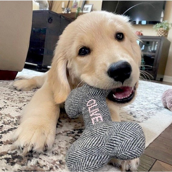 Dog Toy. Personalized Pet Toy With PINK Embroidered Name. Durable