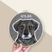 LARGE Custom Pet Portrait. 8 Inch Embroidery Hoop. Personalized Pet Portraits.  Custom Portraits. Gift for Pet Lovers 