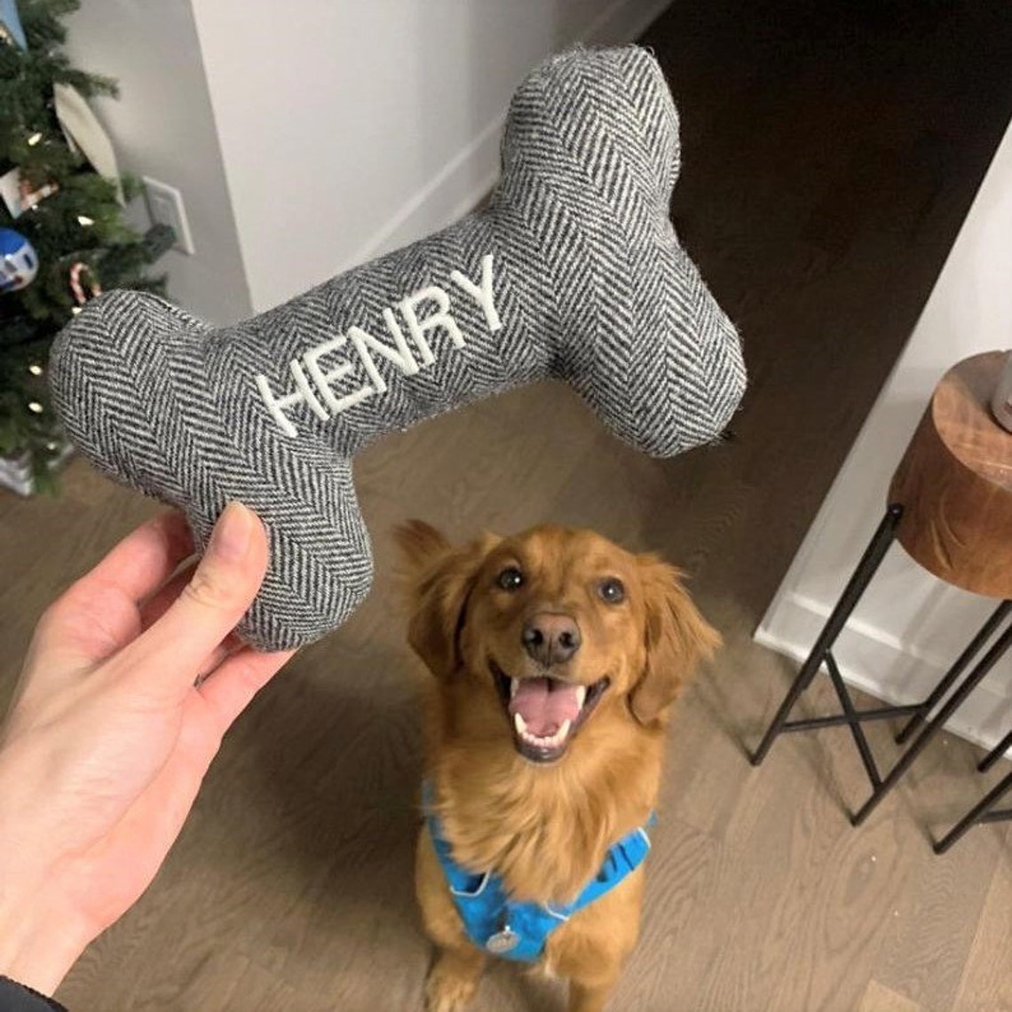 Dog Toy. Personalized Pet Toy with Embroidered Name. Durable Etsy