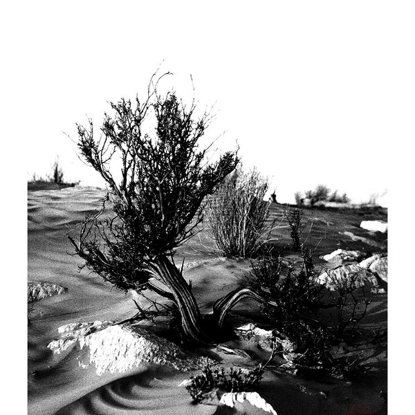 Black and White Photography, African Sahara Desert, Tunisia, Printable Digital Instant Download