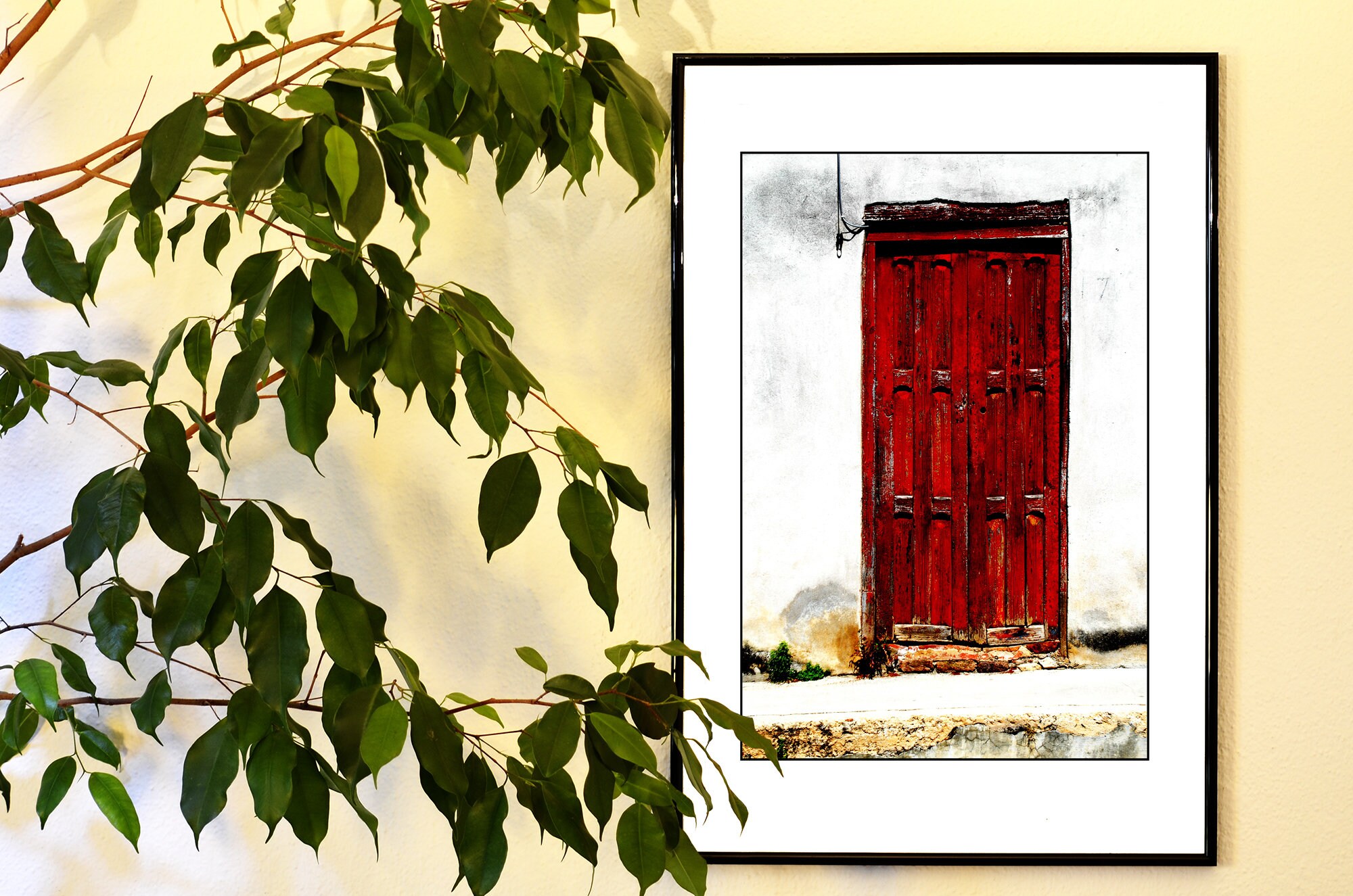 Color Photography Wooden Red Door And White Wall Mexico Etsy