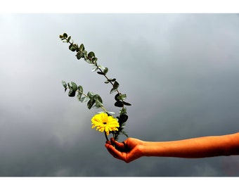 Color Photography, Hand Giving a Yellow Flower, Mexico, Printable Digital Instant Download