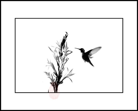 Minimalist Black And White Humming Bird Photography Wall Art Etsy