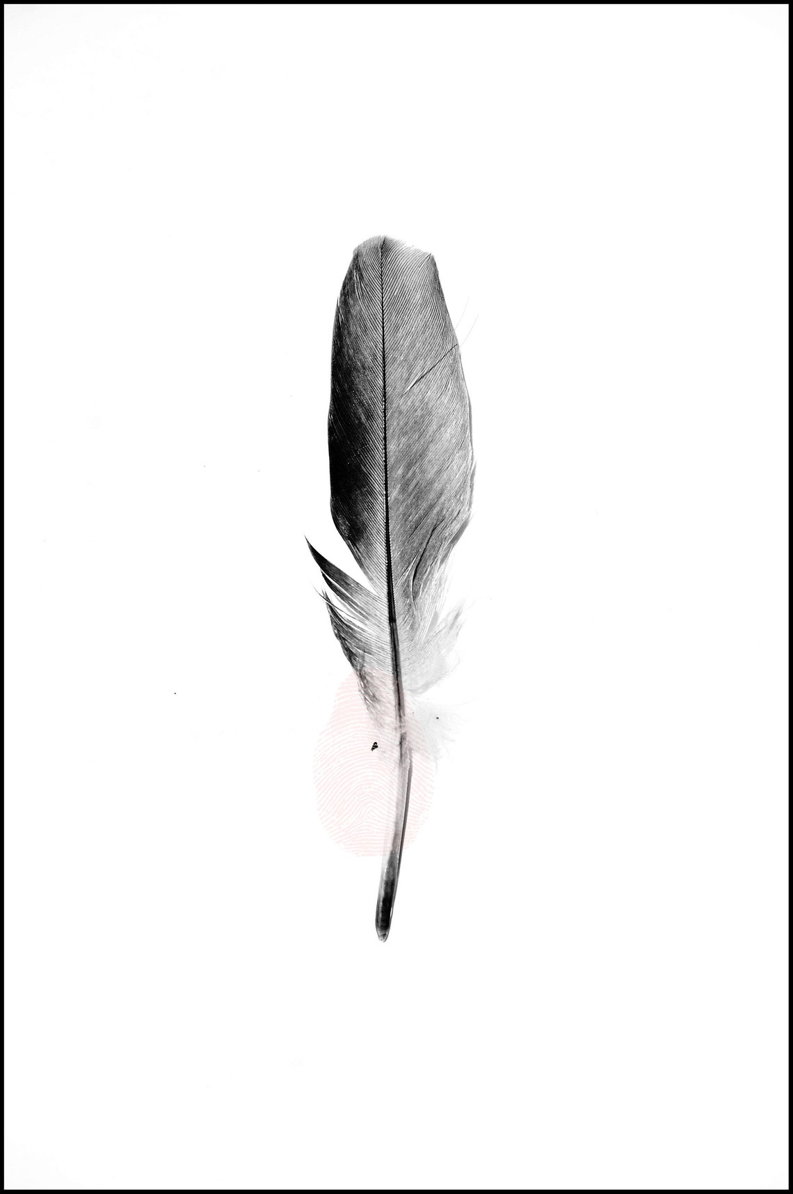 Black and White Minimalist Photography Feather on White | Etsy