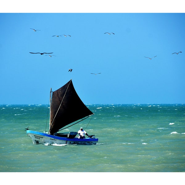 Color Photography, Sea, Fishing Boat and Birds. Mexican Decor, Sisal Yucatan Mexico, Printable Digital Instant Download, Latin America Photo