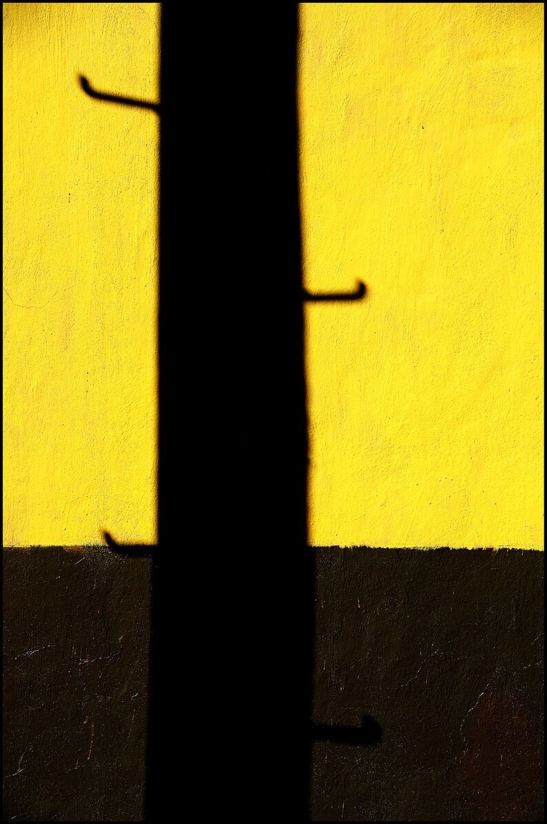 Color Photography Brown Yellow and Black Urban Decor Etsy