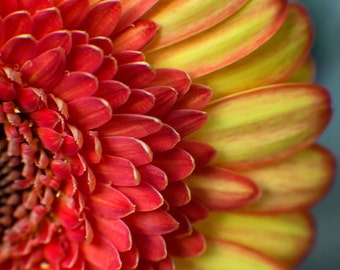 Red, Yellow, and Red  (digital download)