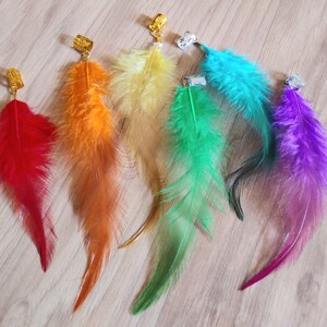 Op de afbeelding: Zes kleurrijke veren haarclips met gouden metalen sluitingen. De veren zijn rood, oranje, geel, groen, blauw en paars.