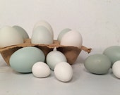 Nature Photography, Instant Downloadable File, Blue and White Eggs