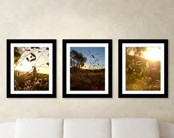 Golden Nature Fine Art Print Set, Set of 3 Golden Photographs, Australia Photography Set, Sunset Home Decor, Yellow Home Decor, Rustic Decor