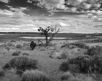 Black and White Rustic Home Decor, Rustic Fine Art Landscape Photography, Utah Photography, Southwestern Wall Art, Landscape Photo Print