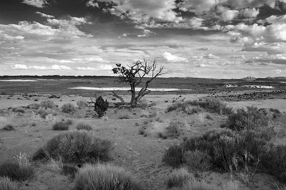 Black And White Rustic Home Decor Rustic Fine Art Landscape Etsy