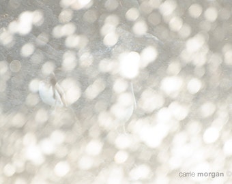 Abstract Water Droplet Photography, Costa Rica Nature Art Print