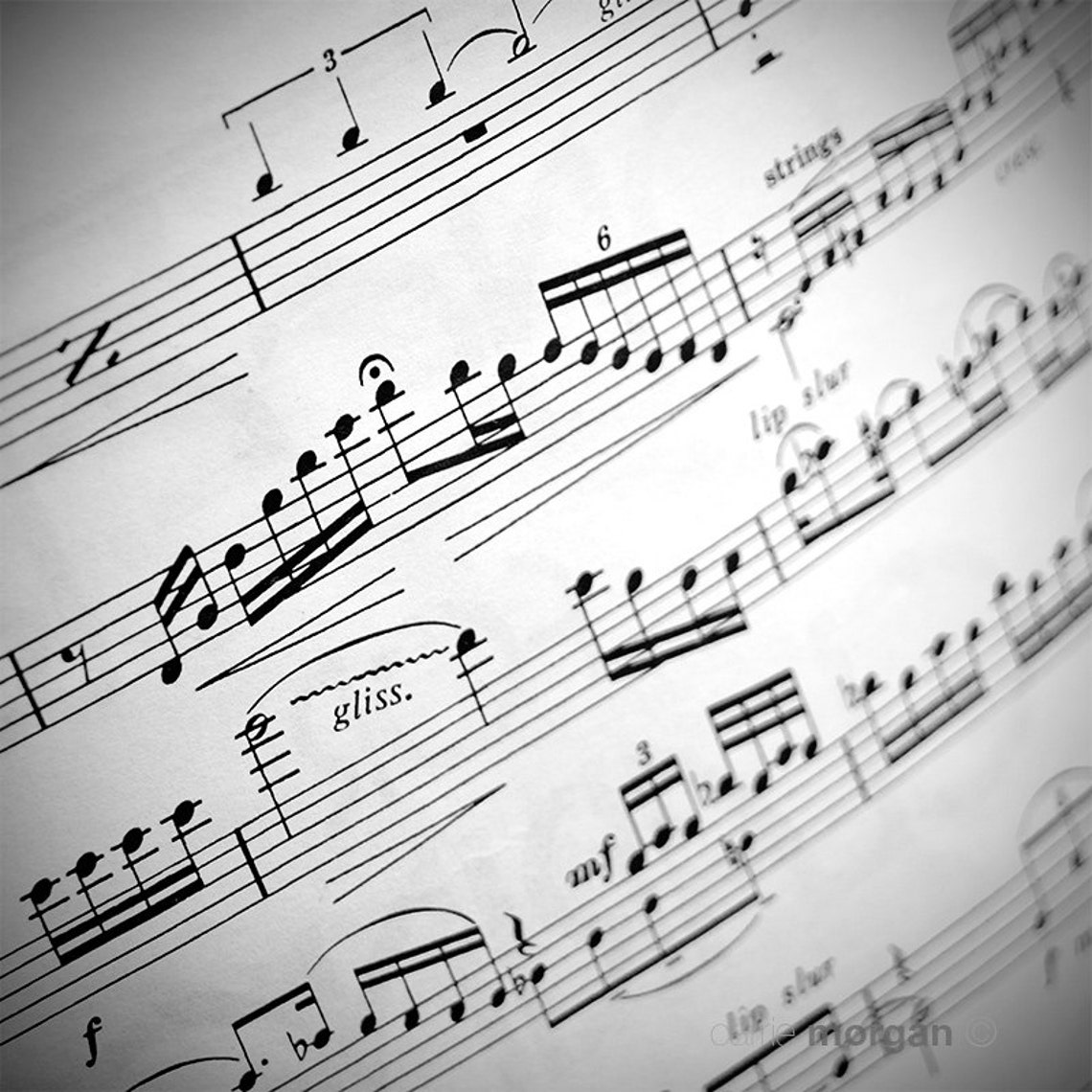 Sheet Music Photography Black And White Music Photograph Music Note sheet-music-photography-black-and-white-music-photograph-music-note