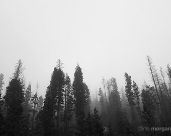 Black and White Nature Photograph, Abstract Nature Art, Black and White Abstract Wall Art, Landscape Photograph, Montana Decor, Western Art