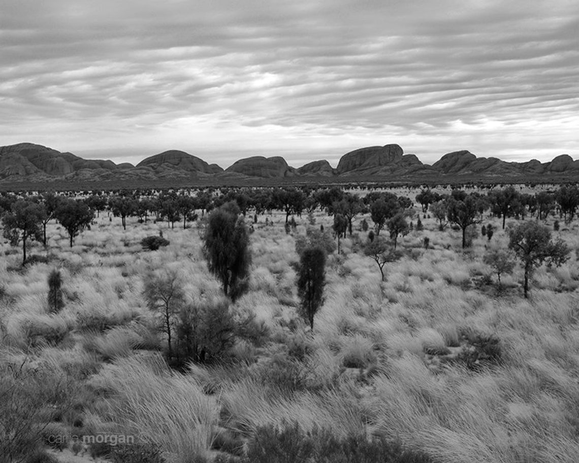 Black and White Australia Landscape Photography, Rustic Home Decor