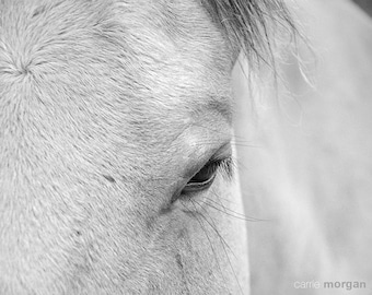 Horse Photography, Horse Fine Art, Black and White Horse Art Print, Equine Home Decor, Rustic Decor, Rustic Wall Art, Animal Photo Print