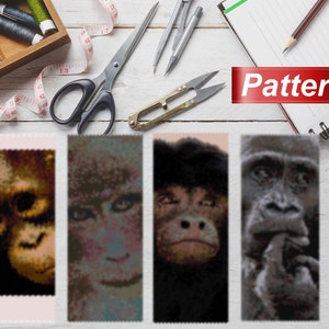 Puede incluir: Cuatro imágenes de primer plano de caras de primates, cada una en un rectángulo separado. Las imágenes son de un orangután, un mono, un chimpancé y un gorila. Las imágenes están todas en color y se encuentran sobre un fondo blanco. La palabra "Pattern" está escrita en rojo sobre un fondo blanco en la esquina superior derecha de la imagen.