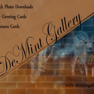 May include: A brown and tan business card with the text "De Mint Gallery" in a cursive font. The text "Instant Stock Photo Downloads", "Prints - Greeting Cards", and "Business Cards" is also on the card. The website address "www.demintgallery.com" is at the bottom of the card.