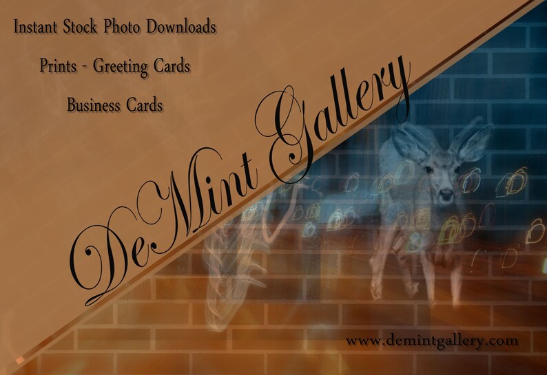 May include: A brown and tan business card with the text "De Mint Gallery" in a cursive font. The text "Instant Stock Photo Downloads", "Prints - Greeting Cards", and "Business Cards" is also on the card. The website address "www.demintgallery.com" is at the bottom of the card.