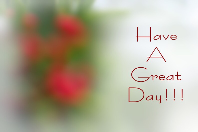 May include: A blurred image of red flowers with the text "Have A Great Day!!!" in red.