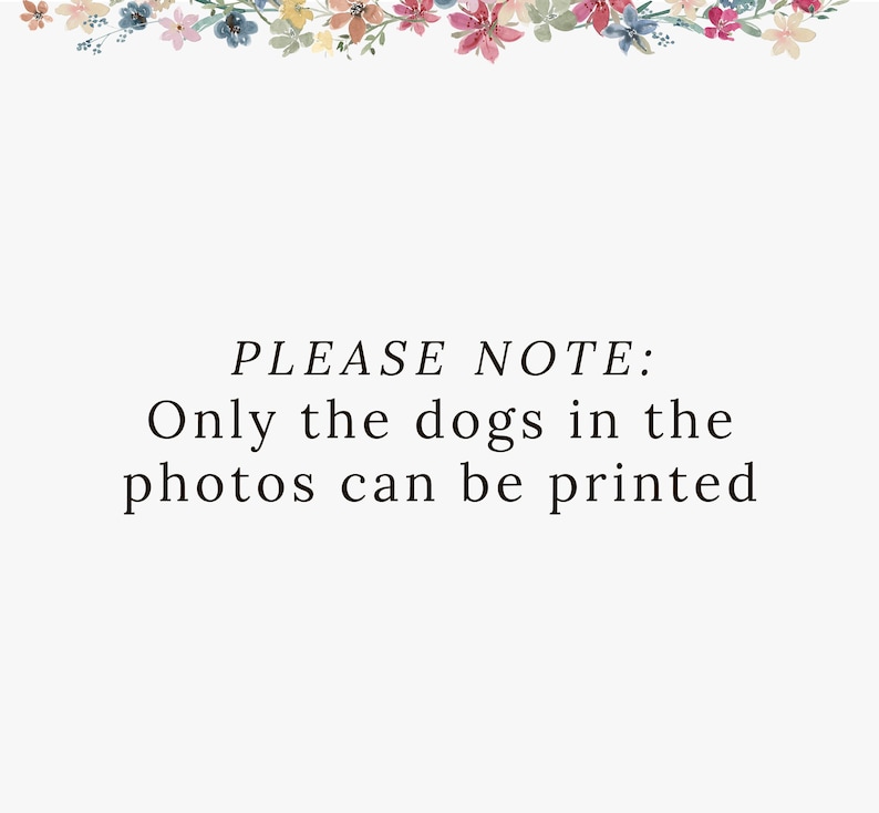 Personalized Dog Lover Gift for Dog Lovers, Personalized Dog Stationary, Personalized Dog Stationery Card Set image 4