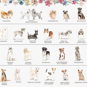 Personalized Dog Lover Gift for Dog Lovers, Personalized Dog Stationary, Personalized Dog Stationery Card Set image 7