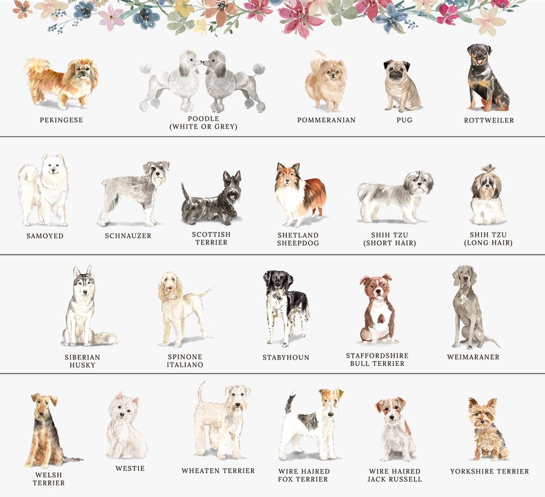 Personalized Dog Lover Gift for Dog Lovers, Personalized Dog Stationary, Personalized Dog Stationery Card Set image 7