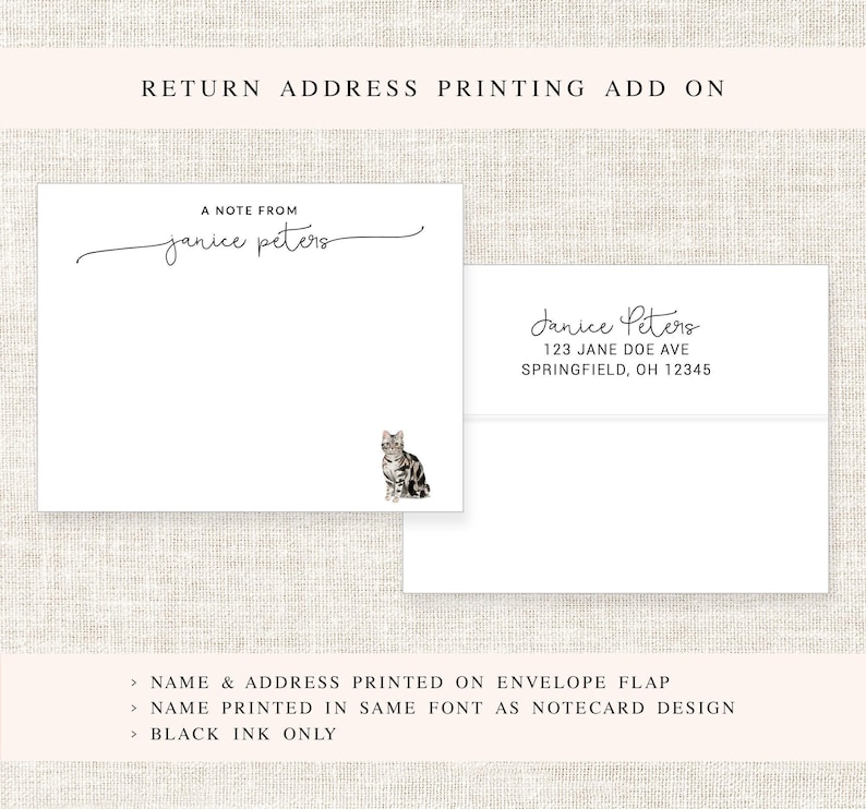 Personalized Cat Stationary, A Note From Custom Notecard Stationary, Cat Lover Stationery, Simple Stationery Cards, Cat Lovers Gift Set image 6