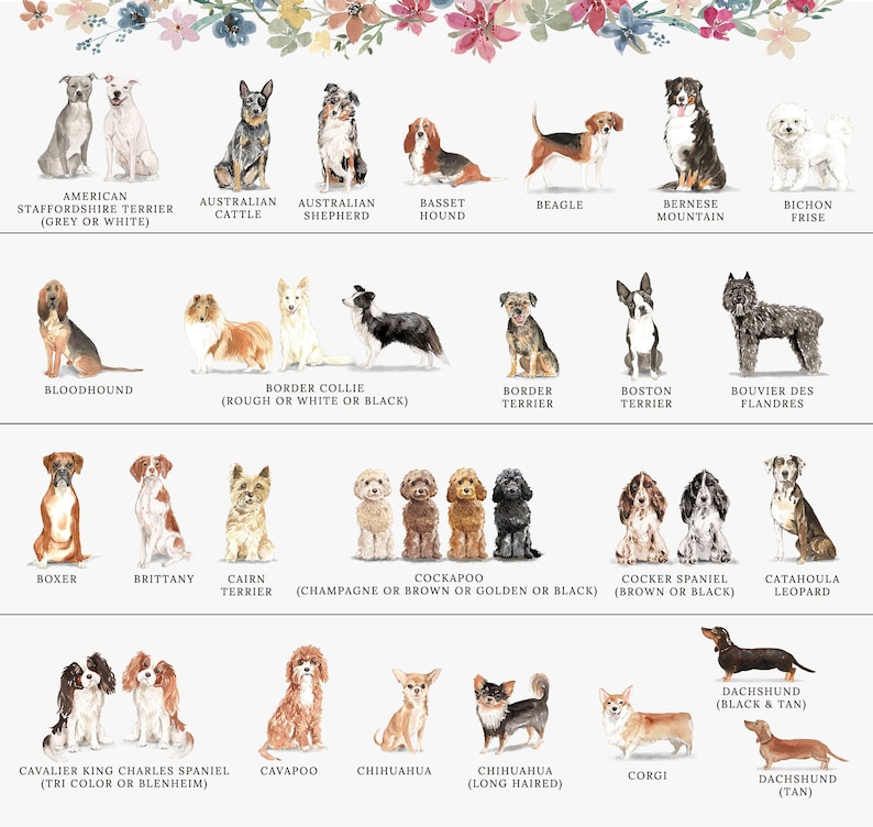 Personalized Dog Lover Gift for Dog Lovers, Personalized Dog Stationary, Personalized Dog Stationery Card Set image 5