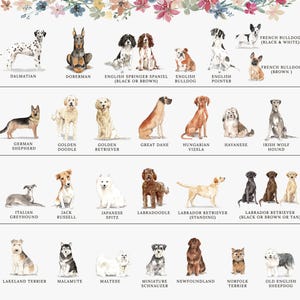Personalized Dog Lover Gift for Dog Lovers, Personalized Dog Stationary, Personalized Dog Stationery Card Set image 6
