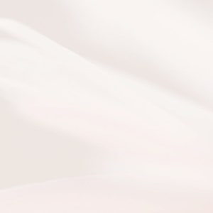 May include: A close-up of a white flower petal with a soft, blurred background.