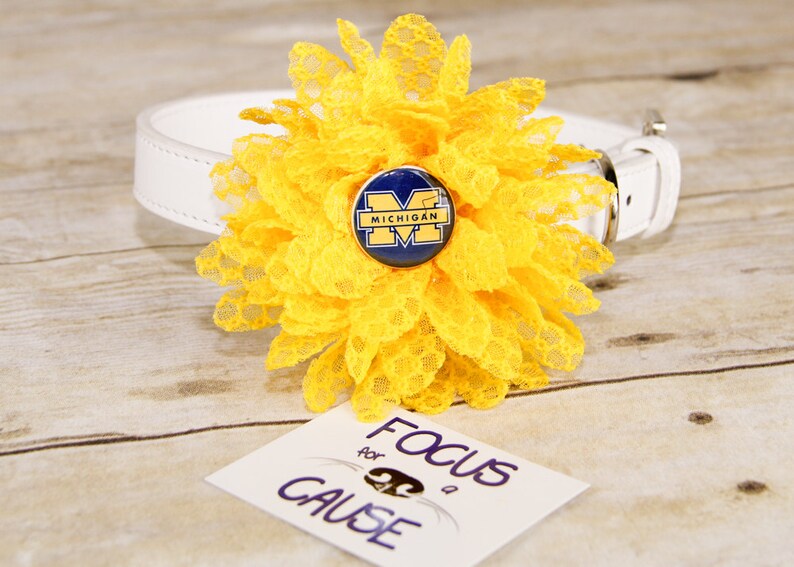 University of Michigan Wolverines Dog Collar Flower Etsy
