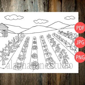 vegetable garden coloring page