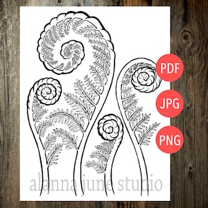 May include: Black and white line art illustration of three fern fronds with curled tips. The image is on a white background.