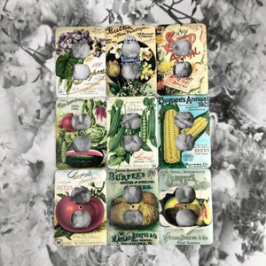 May include: Nine vintage seed packet covers with images of various vegetables and flowers. Each packet has a hole in the center, suggesting they are being used as light switch covers. The packets feature the text "Burpee's Annual 1921", "Burpee's Seeds", "W Atlee Burpee & Co", and "The Plain Truth About Seeds That Grow".