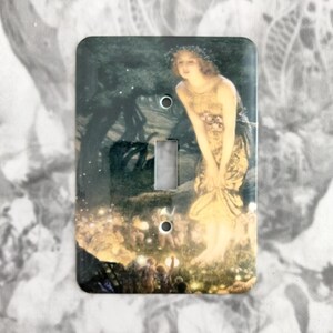 Dynastyprints Slightly Imperfect Metal Light Switch Cover - Various Fairy Prints on Metal Cover - 1T Single Toggle