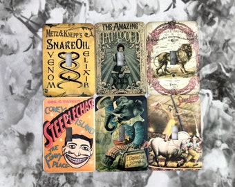 Dynastyprints Slightly Imperfect Metal Circus Light Switch Cover - 1T- Single Toggle - Single Gage Light Switch