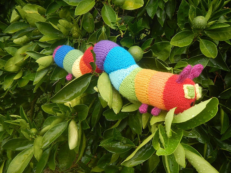 Caterpillar toy knitting pattern PDF instant downloadm knitting