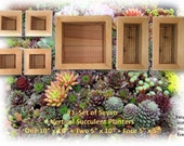 Vertical Succulent Planter Box Vertical Succulent Planter Box Set Cedar Indoor Outdoor Succulent Planters Vertical Gardening Gift Idea