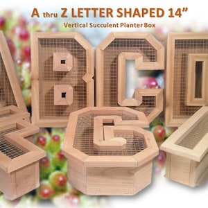 Vertical Succulent Wall Planter ~ 14&quot; Alphabet/Ampersand/Numbers ~ 100% Cedar ~ Indoor Outdoor Hanging/Tabletop Option ~ Gardening Gift Idea