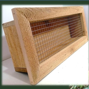 Handcrafted Cedar Vertical Succulent Wall Planter: Rectangle 21" x 8"- Indoor, Outdoor, Hanging, Tabletop Option