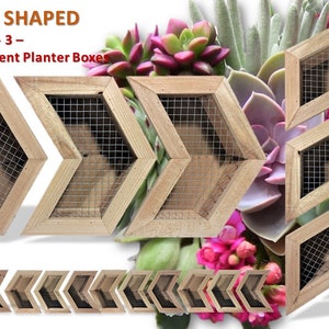 Vertical Succulent Wall Planter ~ 3 Piece Set 10&quot; x 12&quot; Chevron/Arrow ~100% Cedar ~Choose Indoor/Outdoor Mesh/Tabletop ~ Gardening Gift Idea