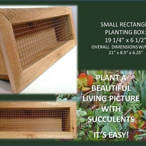 Vertical Succulent Wall Planter ~ 21&quot; x 8&quot; Rectangle ~ 100 % Cedar ~ Choose Indoor/Outdoor Mesh/Tabletop Option ~ Gardening Gift Idea