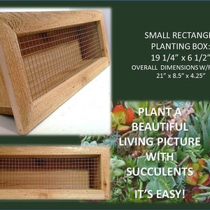 Vertical Succulent Wall Planter ~ 21" x 8" Rectangle ~ 100 % Cedar ~ Choose Indoor/Outdoor Mesh/Tabletop Option ~ Gardening Gift Idea