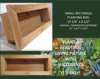 Vertical Succulent Wall Planter ~ 21" x 8" Rectangle ~ 100 % Cedar ~ Choose Indoor/Outdoor Mesh/Tabletop Option ~ Gardening Gift Idea