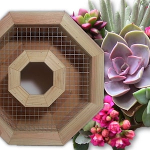 Vertical Succulent Wall Planter ~ 16&quot; Octagon Wreath Succulent Planters ~ 100% Cedar ~ Indoor/Outdoor/Tabletop Option ~ Gardening Gift Idea